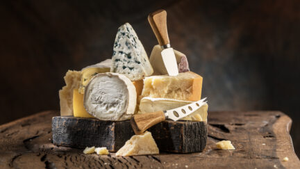 Assortment of different cheese types on wooden background. Cheese background.